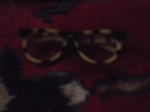 DSCF7226