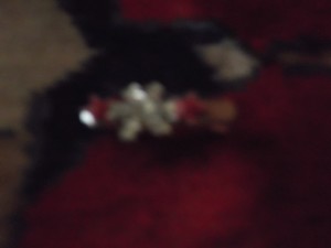 DSCF7229
