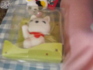 DSCF7254